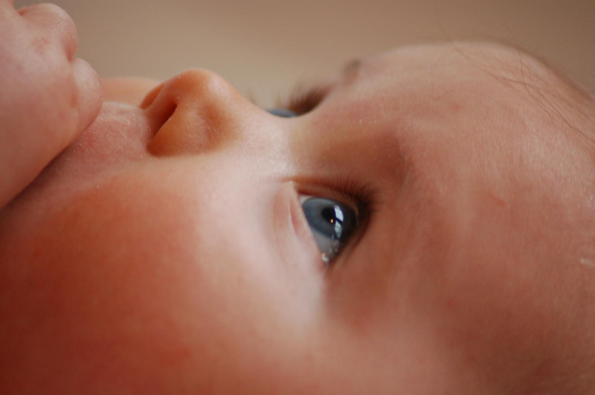 Baby rasmus  svinding by pexels